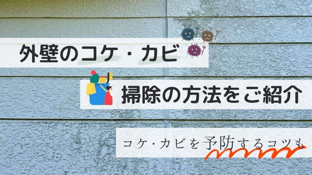 【放置はNG？】外壁のコケ・カビを綺麗に掃除する方法